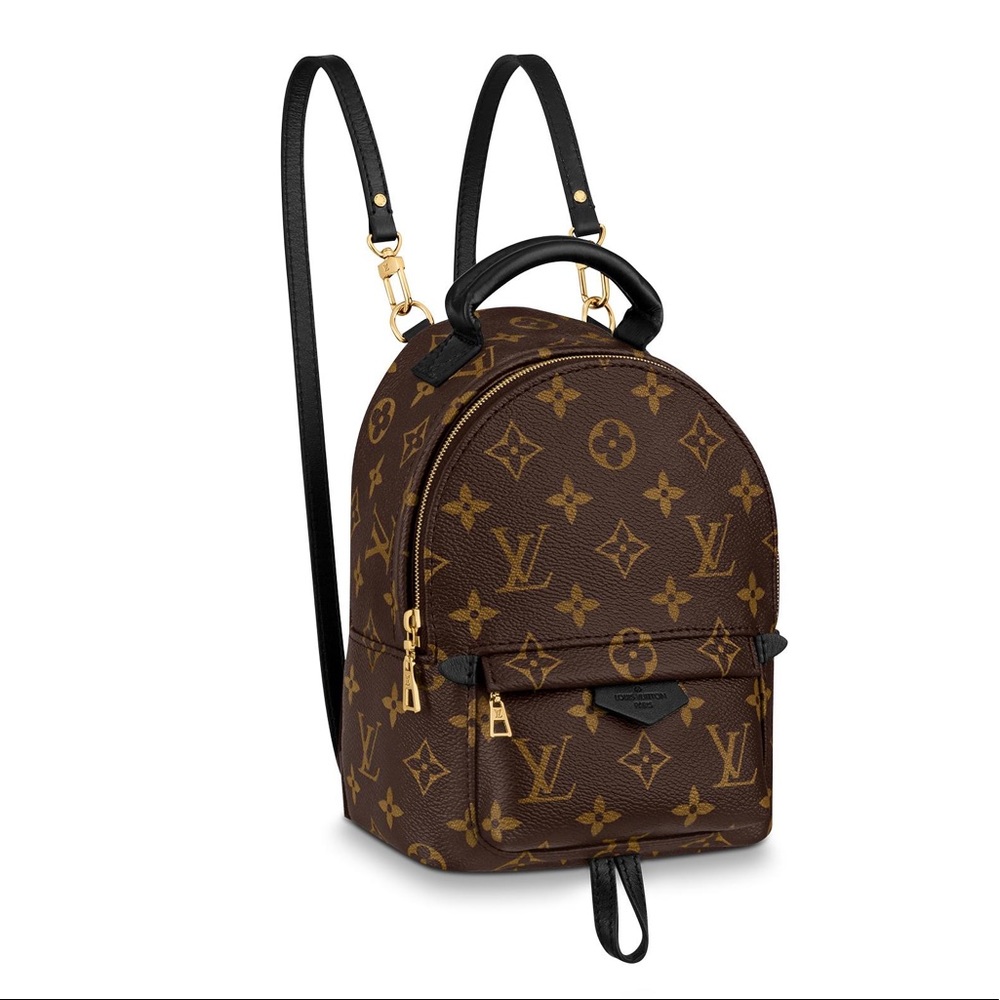 Louis Vuitton Palm Springs Mini Backpack Brown New with Tags Box